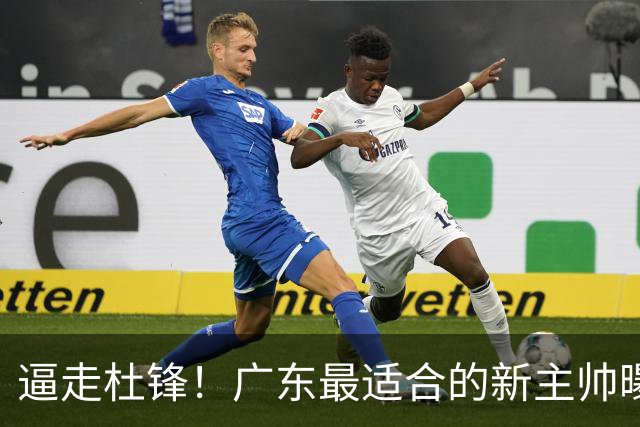 逼走杜锋！广东最适合的新主帅曝光，宏远“三王牌”全部打出来了